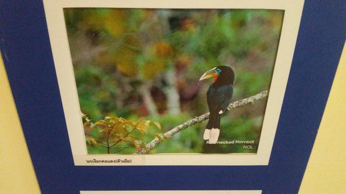 2017-10-09 08.15.53.jpg