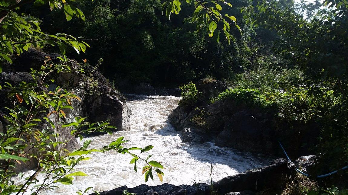 2017-10-09 08.40.04.jpg