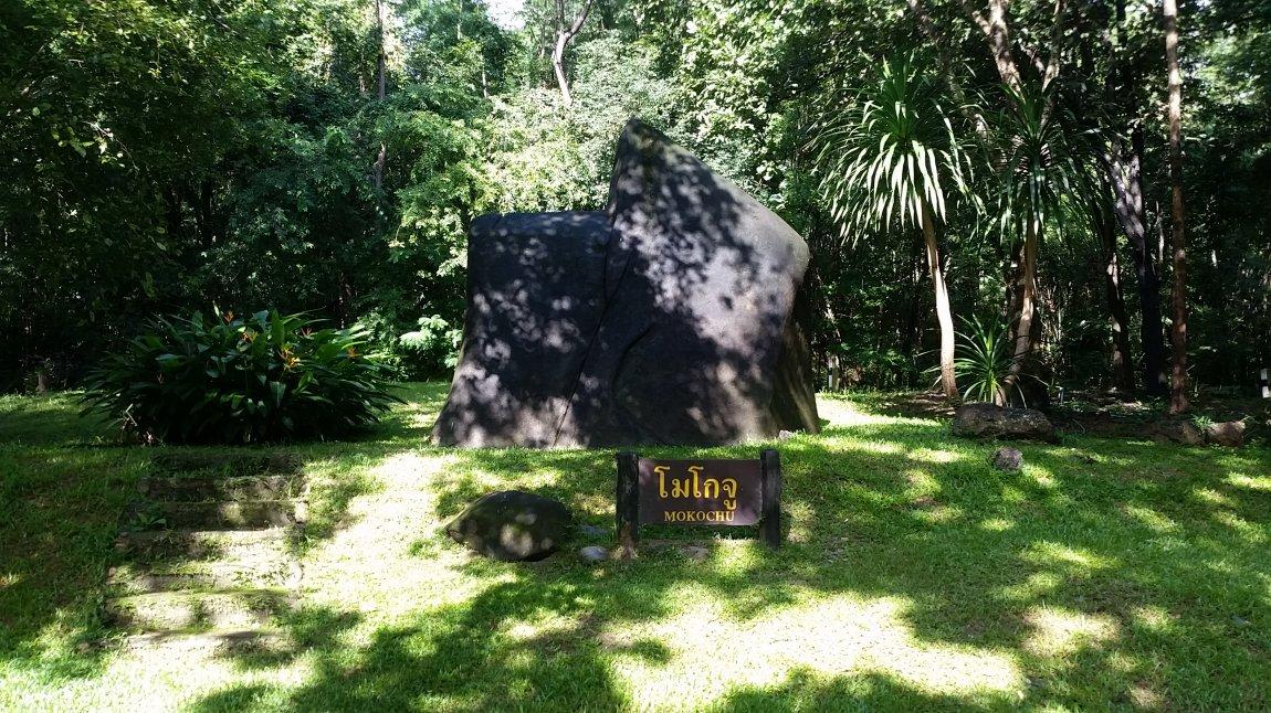 2017-10-09 08.43.06.jpg