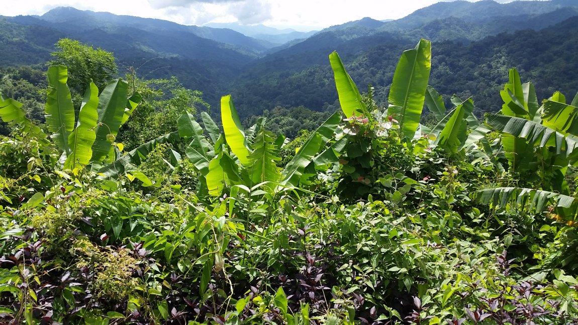 2017-10-09 10.12.09.jpg