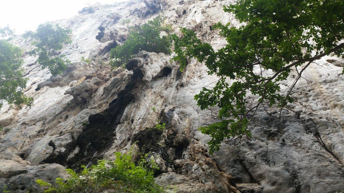 2017-10-10 12.19.40.jpg