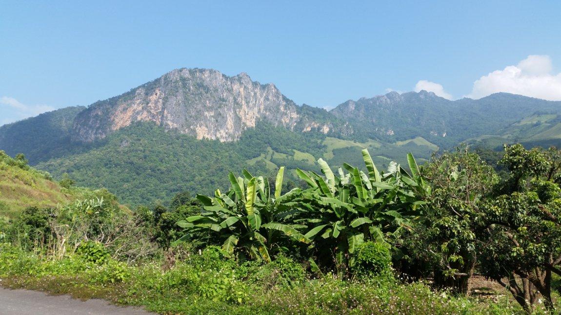 2017-10-29 10.17.27.jpg