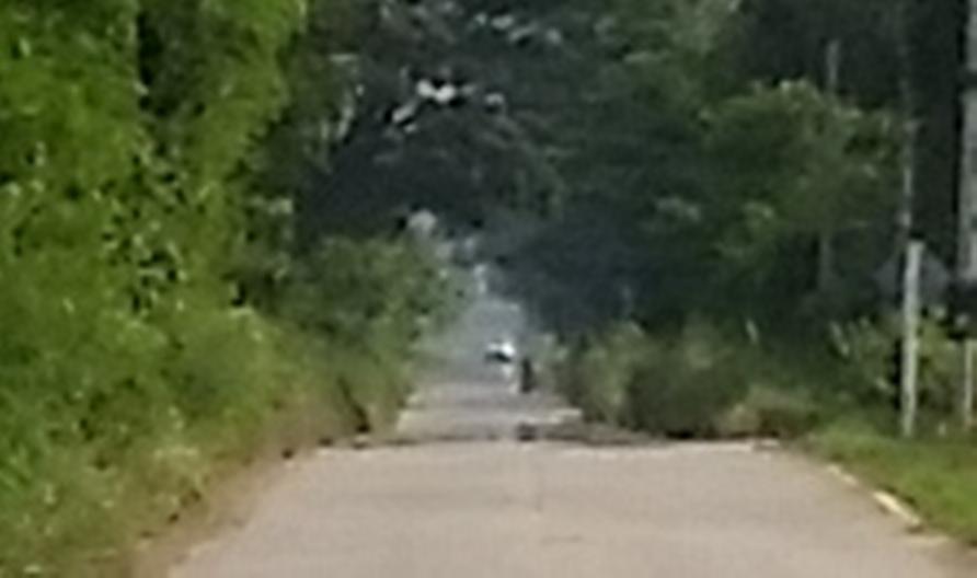 2017-10-30 15.15.26  zoomed.jpg