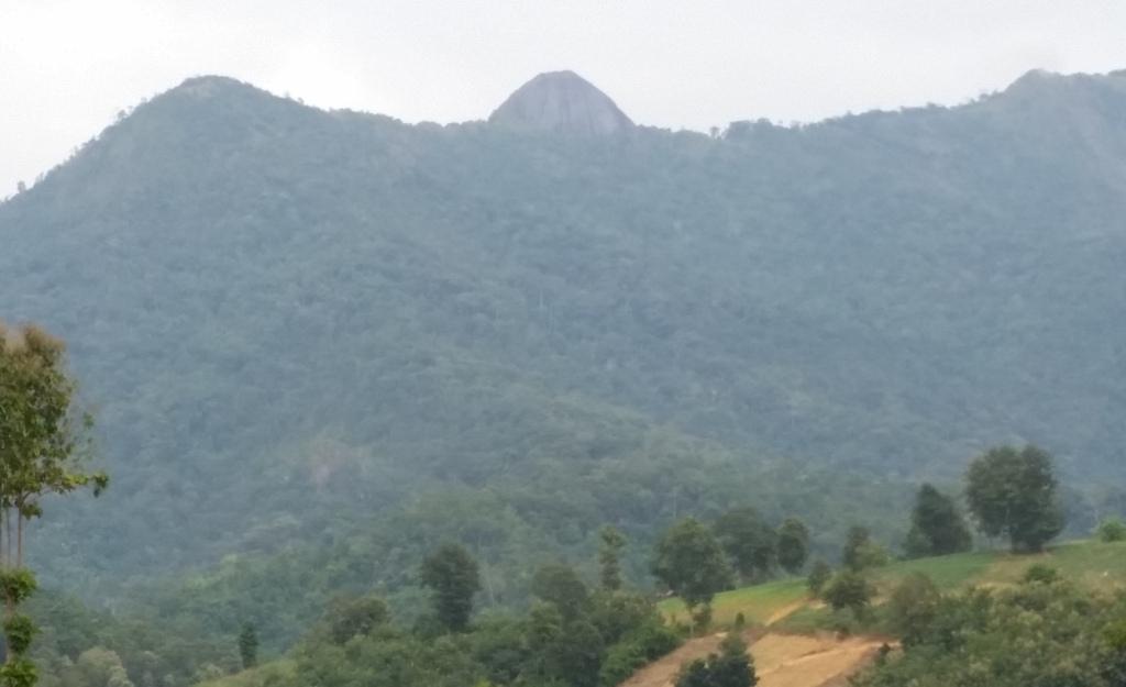 2017-11-08 15.37.31.jpg