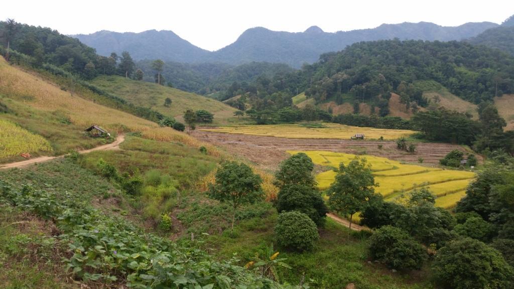 2017-11-09 08.23.08.jpg