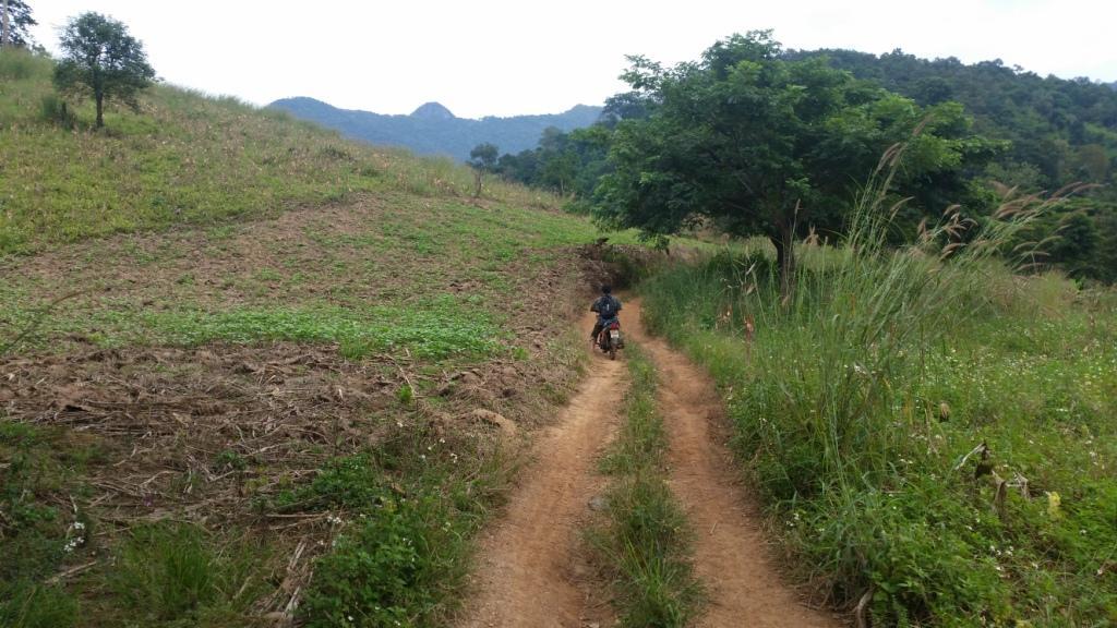 2017-11-09 08.25.00.jpg