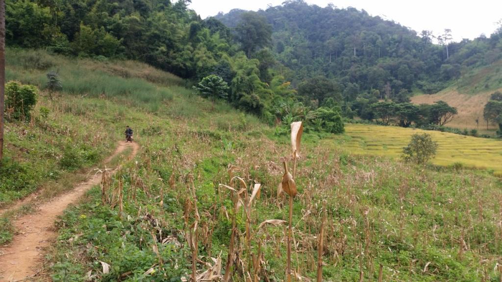 2017-11-09 08.29.01.jpg