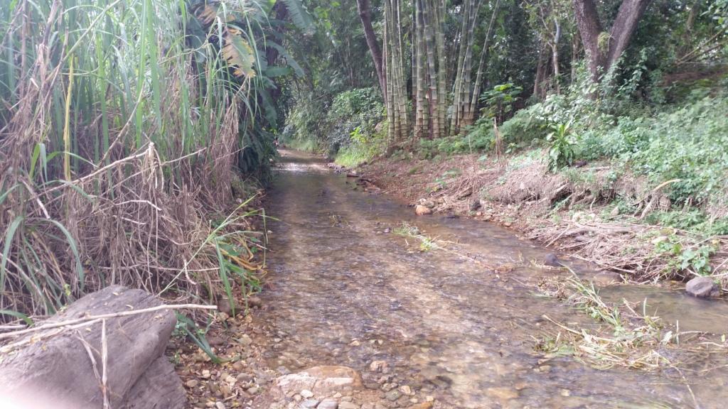 2017-11-09 08.29.02.jpg