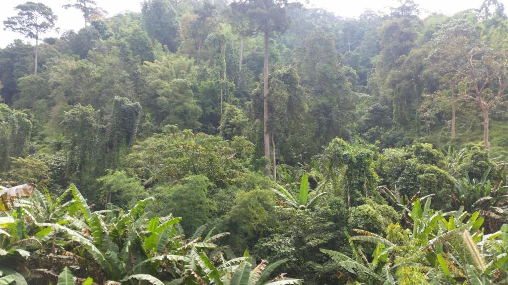 2017-11-09 08.29.03.jpg