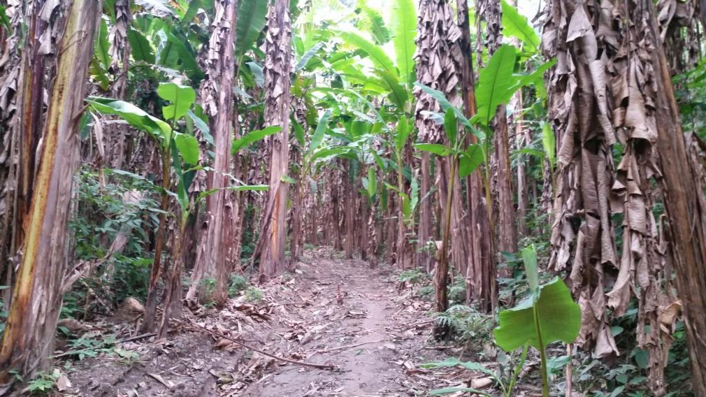 2017-11-09 08.36.27.jpg