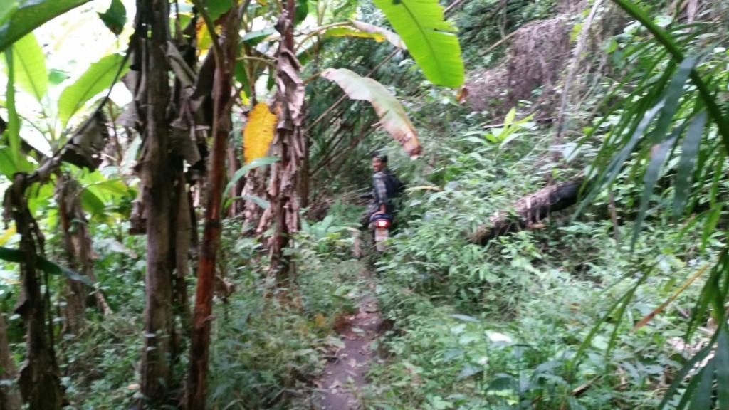 2017-11-09 08.40.14.jpg