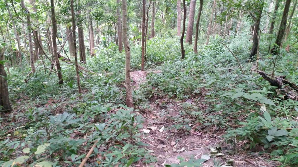 2017-11-09 08.53.16.jpg