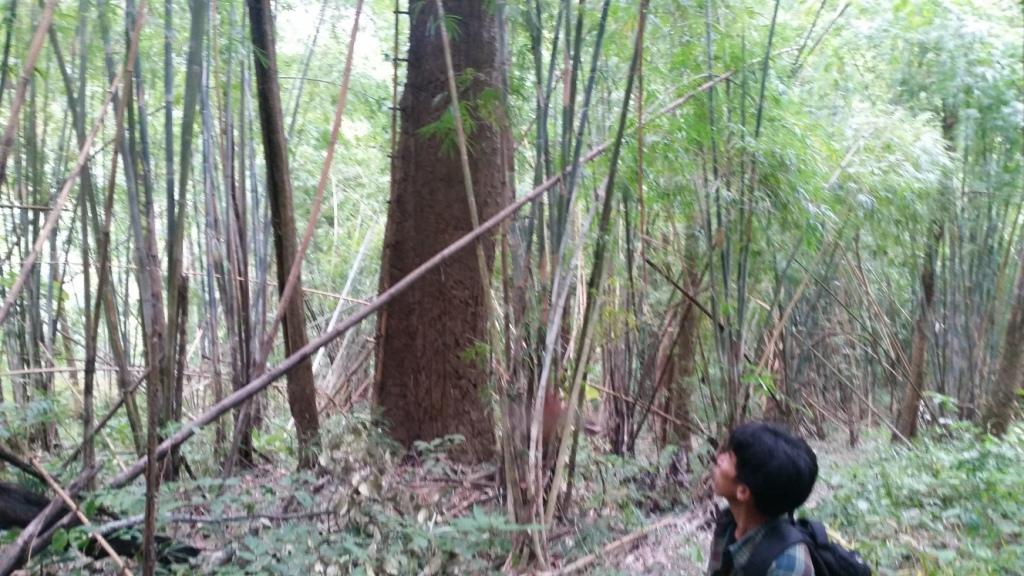 2017-11-09 08.55.56.jpg