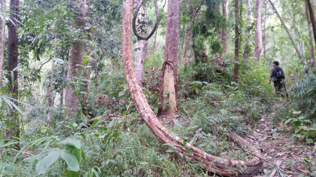 2017-11-09 09.10.55.jpg