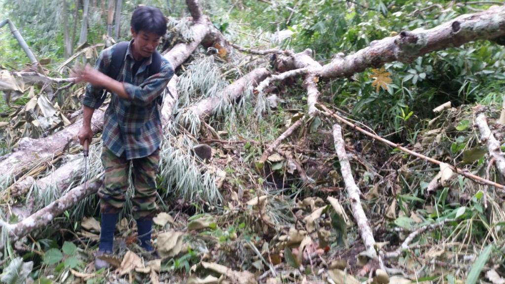 2017-11-09 09.13.37.jpg