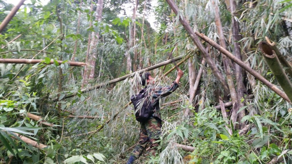 2017-11-09 09.23.36.jpg