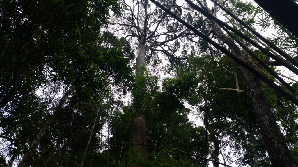 2017-11-09 09.26.41.jpg