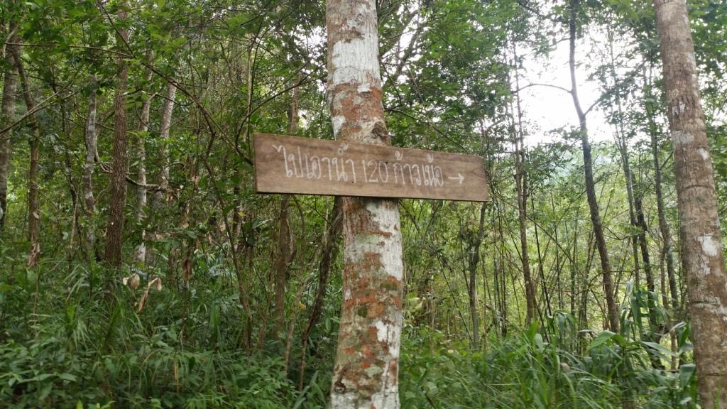 2017-11-09 09.41.27.jpg