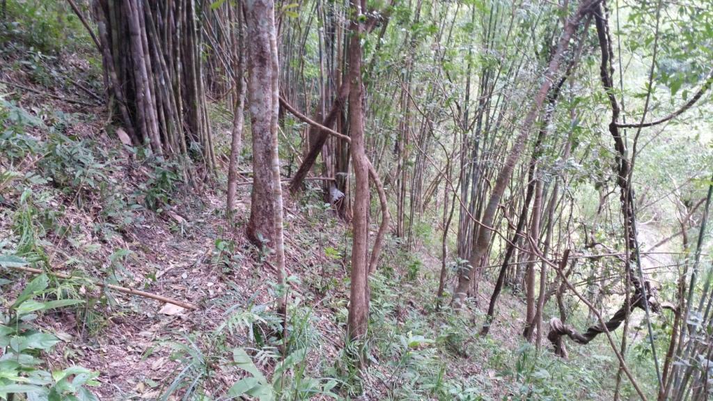 2017-11-09 09.42.13.jpg