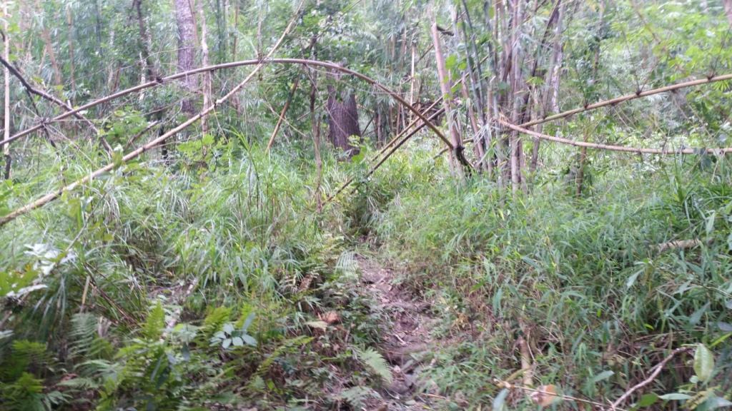 2017-11-09 09.59.13.jpg