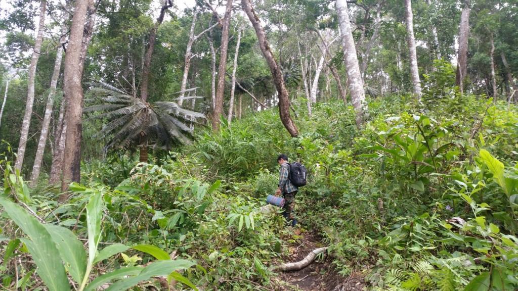 2017-11-09 10.37.53.jpg