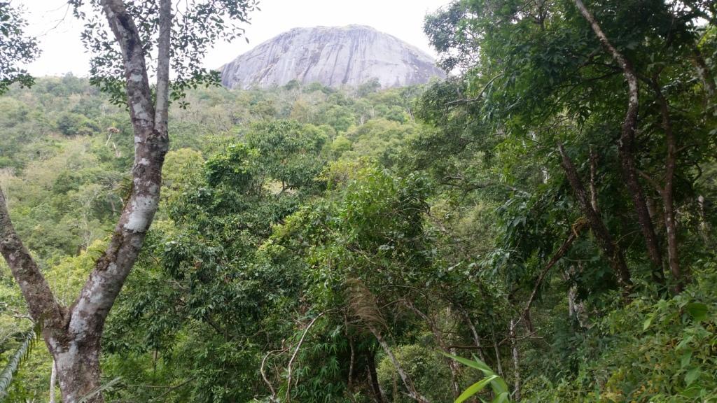 2017-11-09 10.40.56.jpg