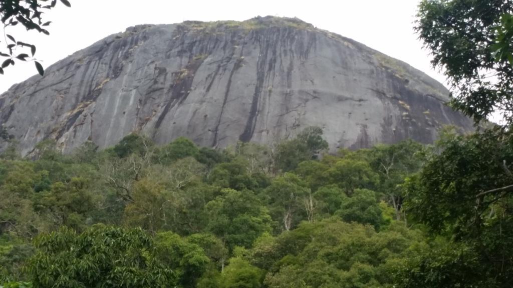 2017-11-09 10.41.06.jpg