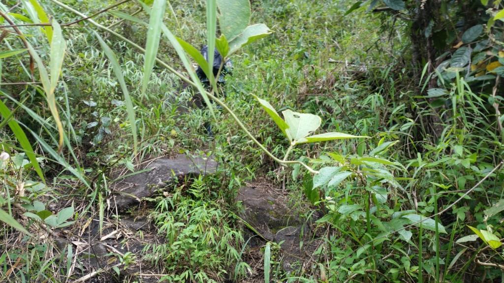 2017-11-09 10.48.09.jpg