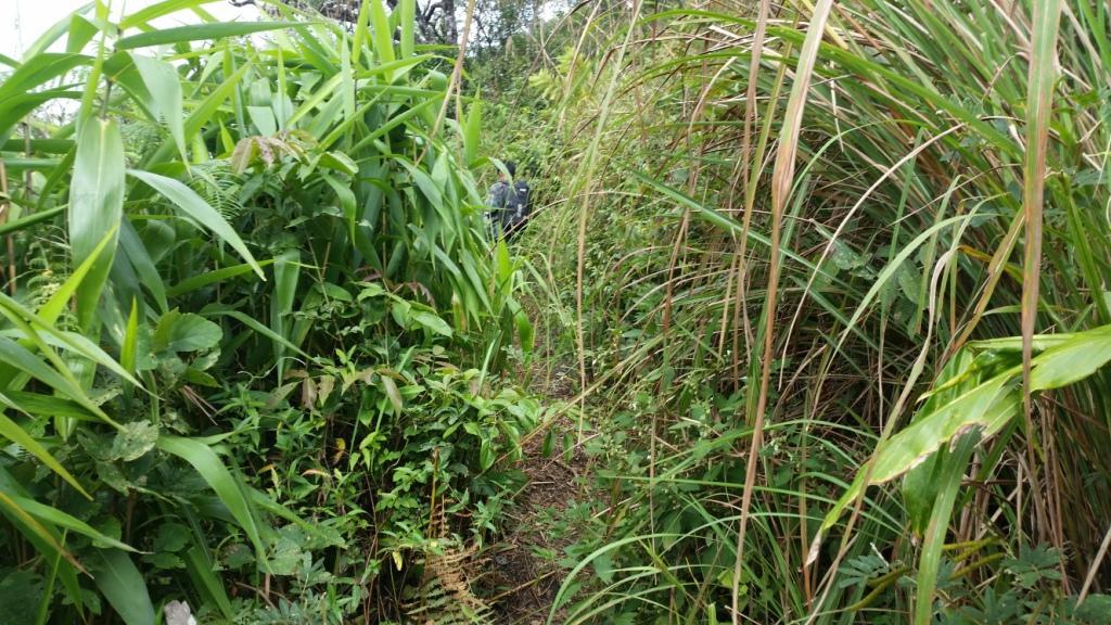 2017-11-09 11.20.53.jpg