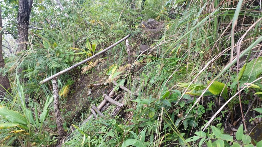 2017-11-09 11.22.28.jpg