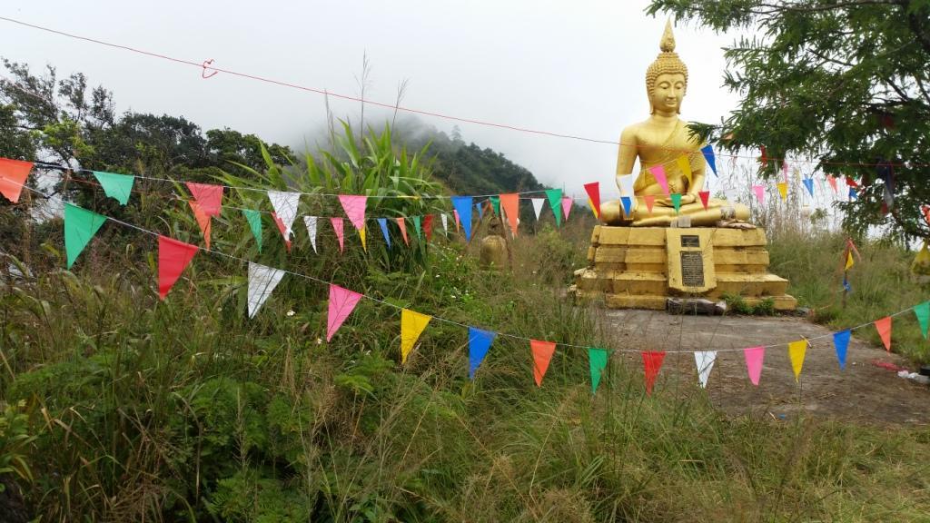 2017-11-09 11.29.30.jpg