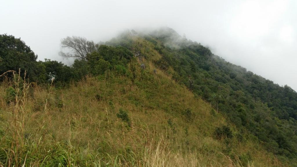 2017-11-09 11.32.32.jpg