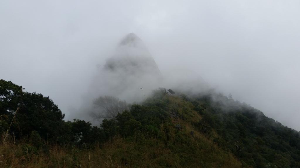 2017-11-09 11.46.55.jpg