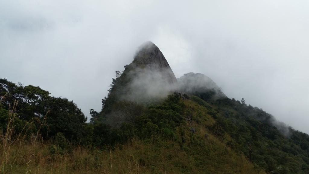 2017-11-09 11.49.46.jpg