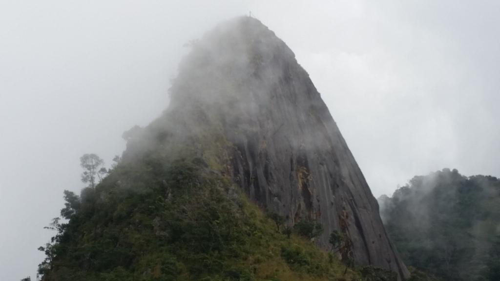 2017-11-09 11.51.11.jpg