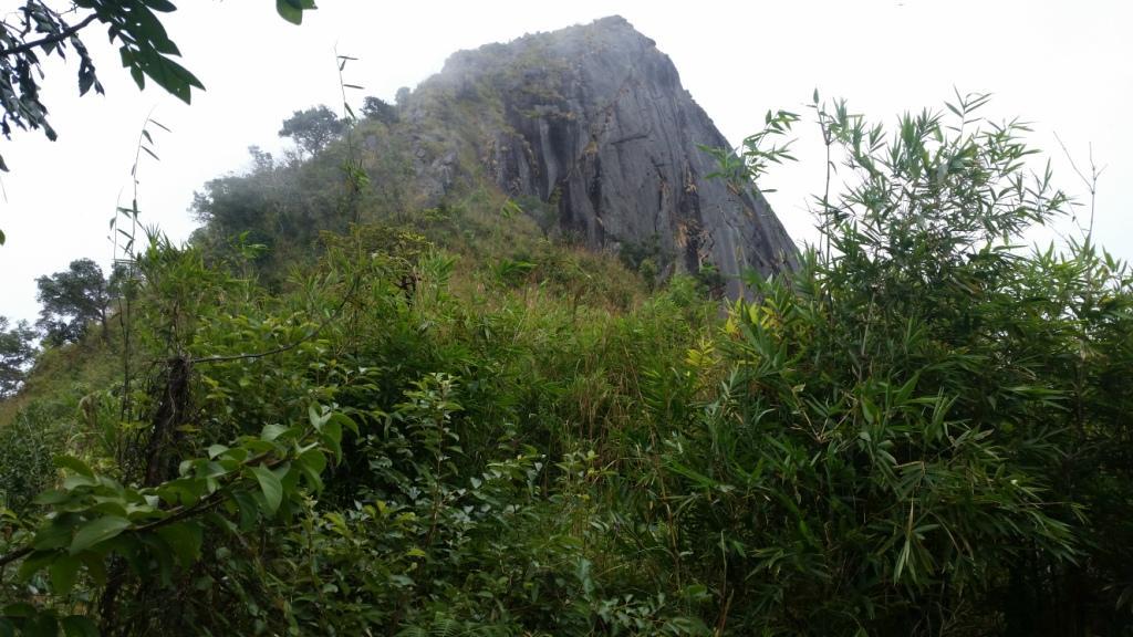 2017-11-09 12.01.48.jpg