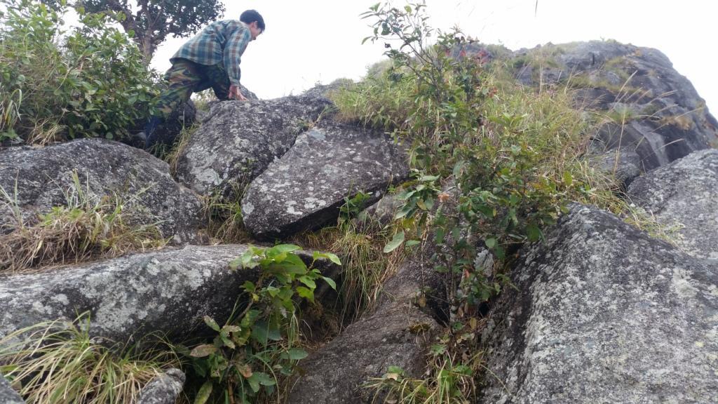 2017-11-09 12.10.21.jpg