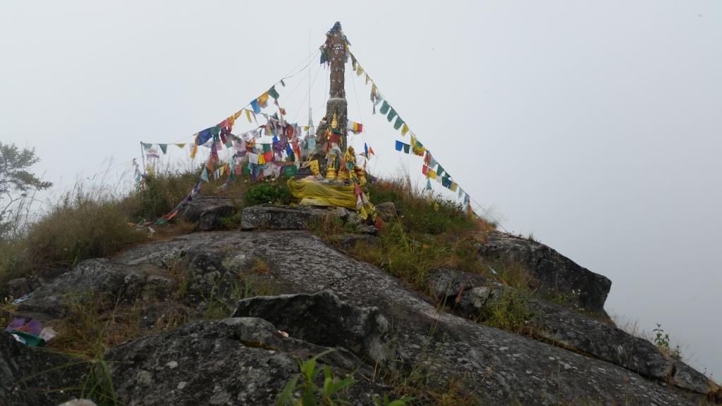 2017-11-09 12.21.44.jpg