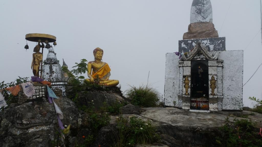 2017-11-09 12.24.03.jpg