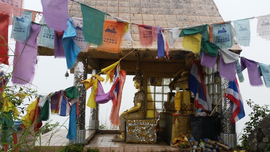 2017-11-09 12.24.12.jpg