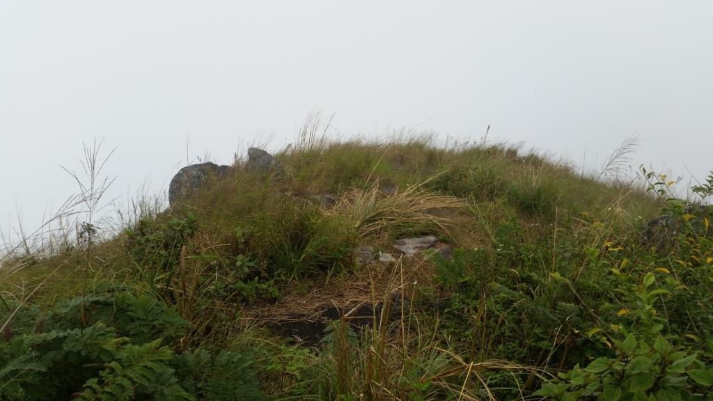 2017-11-09 12.24.53.jpg