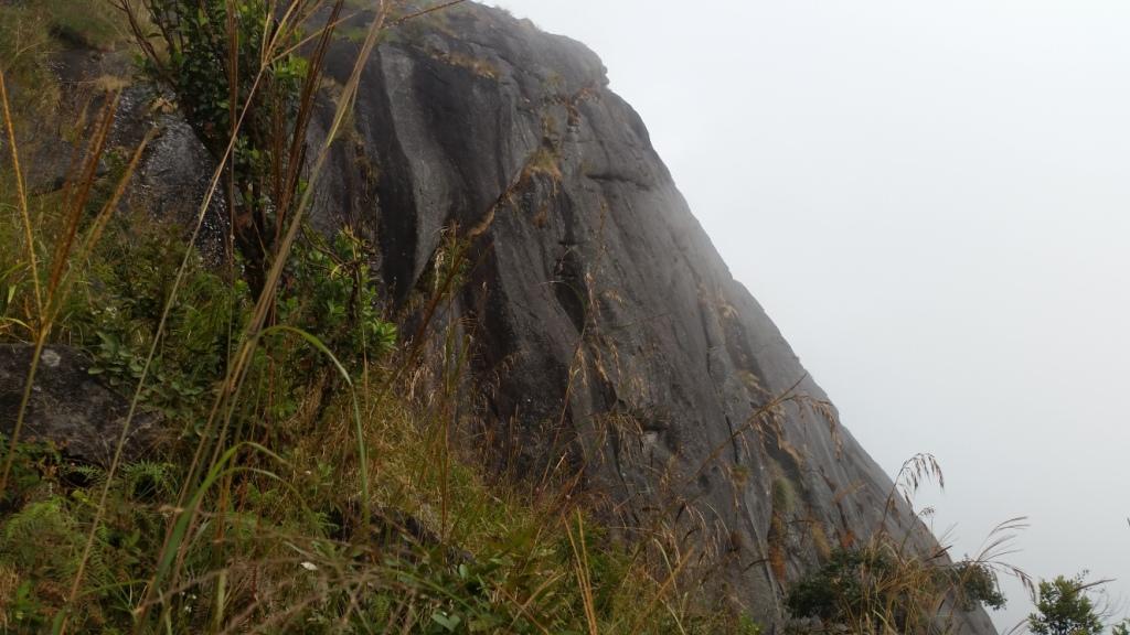 2017-11-09 12.51.11.jpg