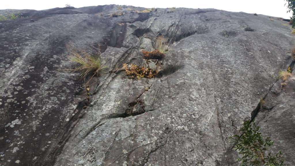 2017-11-09 12.53.49.jpg