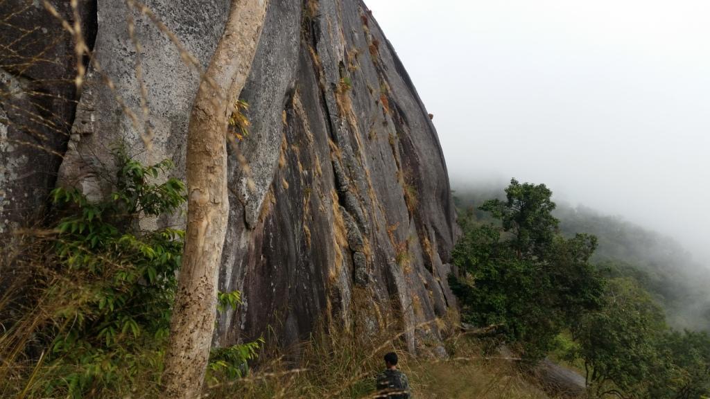 2017-11-09 12.53.55.jpg