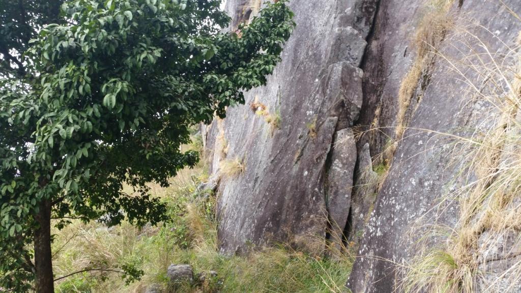 2017-11-09 12.57.56.jpg