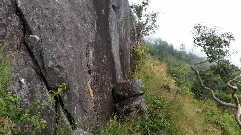 2017-11-09 12.58.01.jpg