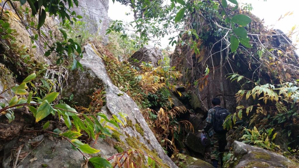 2017-11-09 13.03.05.jpg