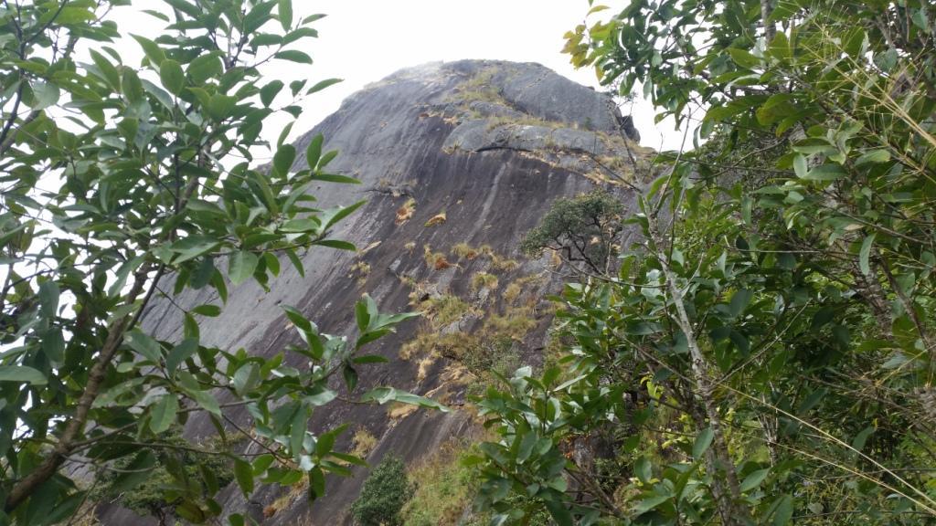 2017-11-09 13.08.28.jpg