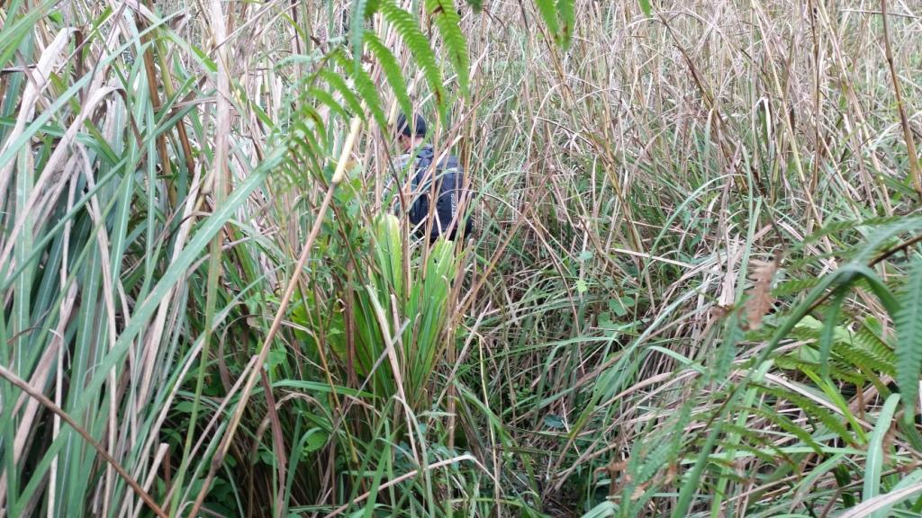 2017-11-09 13.11.03.jpg