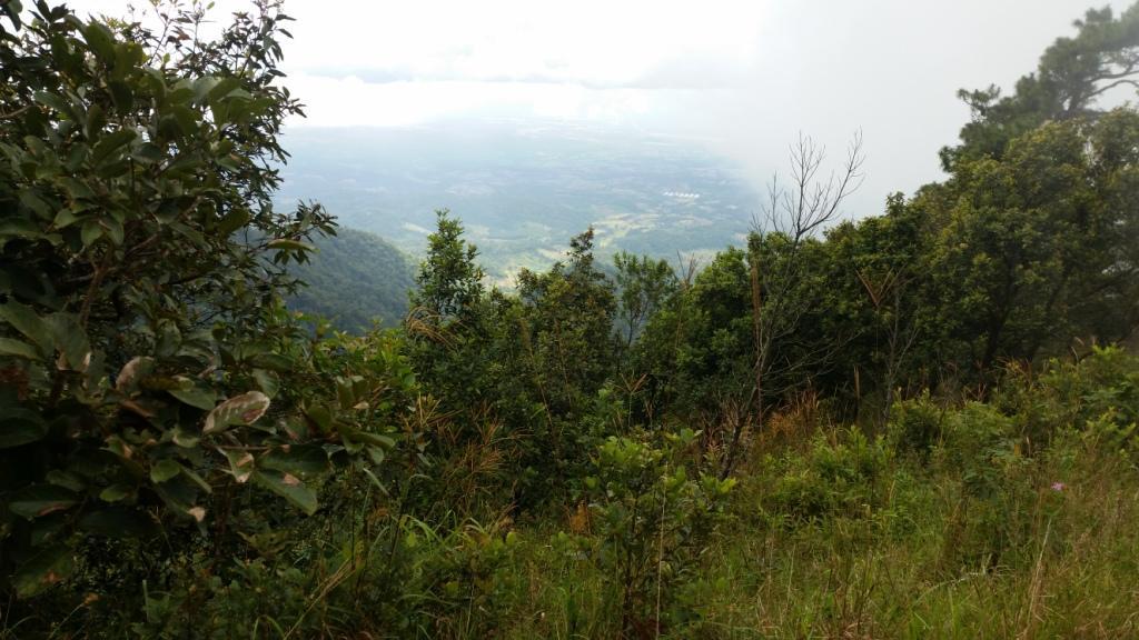 2017-11-09 13.37.03.jpg